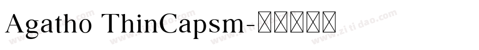 Agatho ThinCapsm字体转换